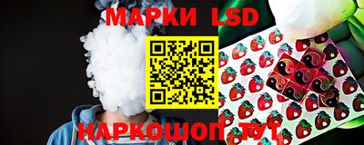 мдпв Бердск