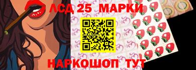 мдпв Бердск