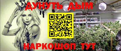 мдпв Бердск