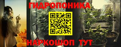 мдпв Бердск