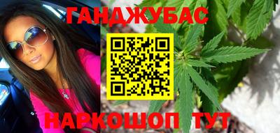 мдпв Бердск