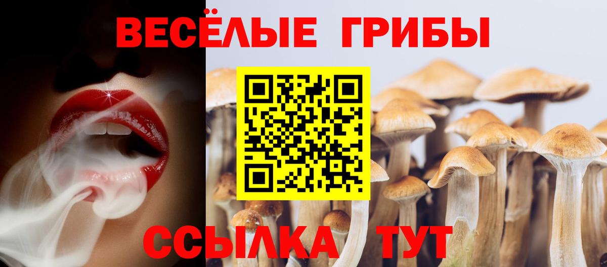 Галлюциногенные грибы MAGIC MUSHROOMS Асбест